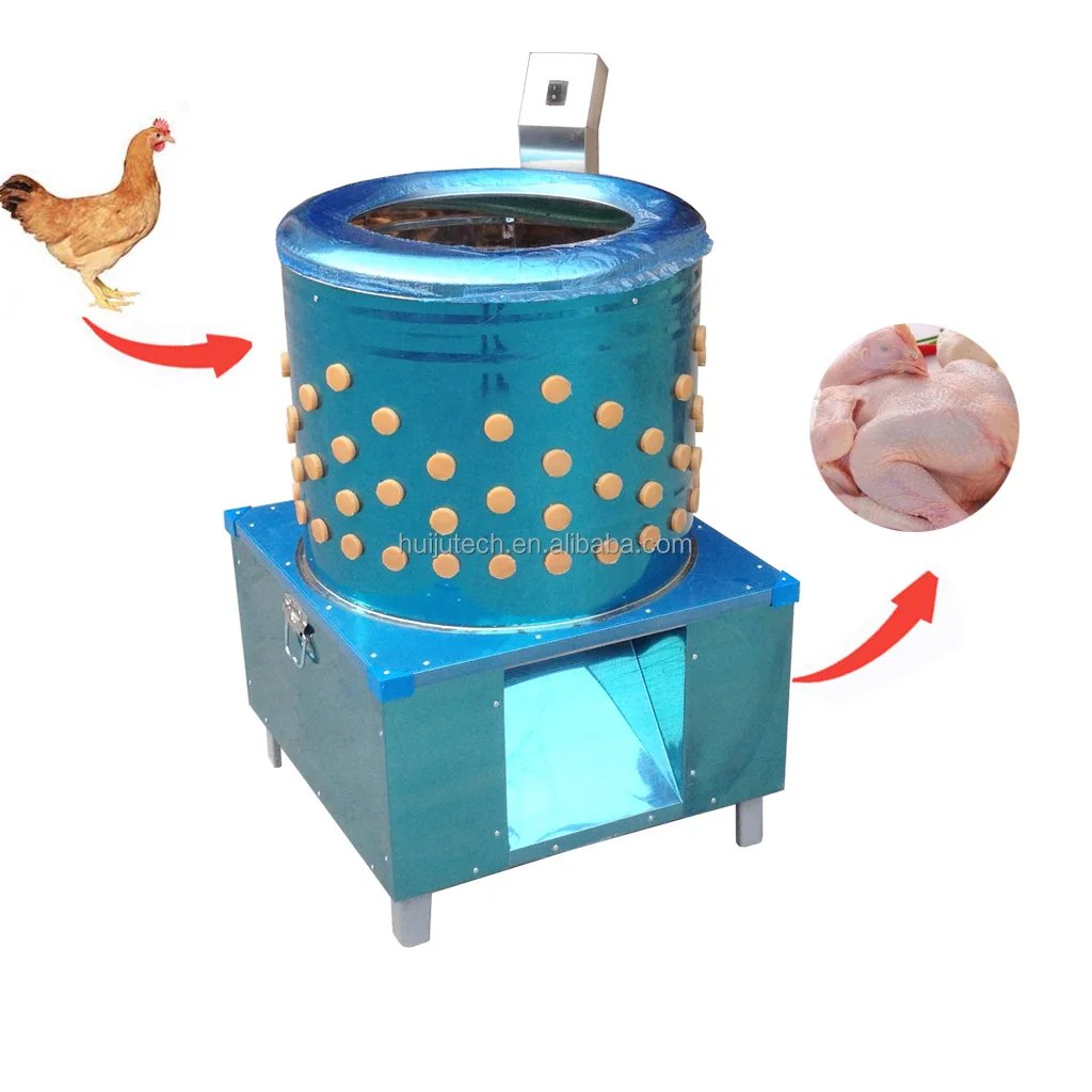 cách chăm sóc gà sau khi đá cựa sắt cách chăm sóc gà sau khi đá cựa sắt