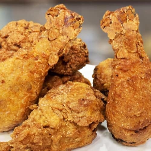 ảnh bìa chăm gà đá ảnh bìa chăm gà đá