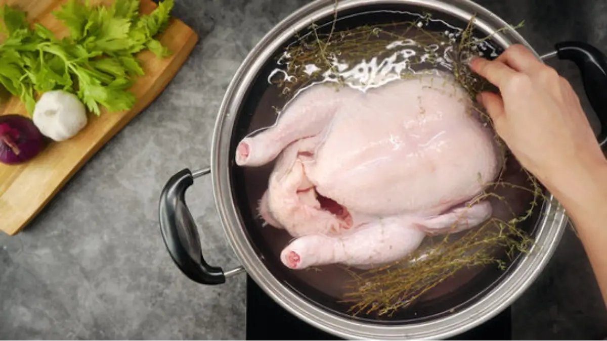 gà chọi đá xào lá xưng gà chọi đá xào lá xưng