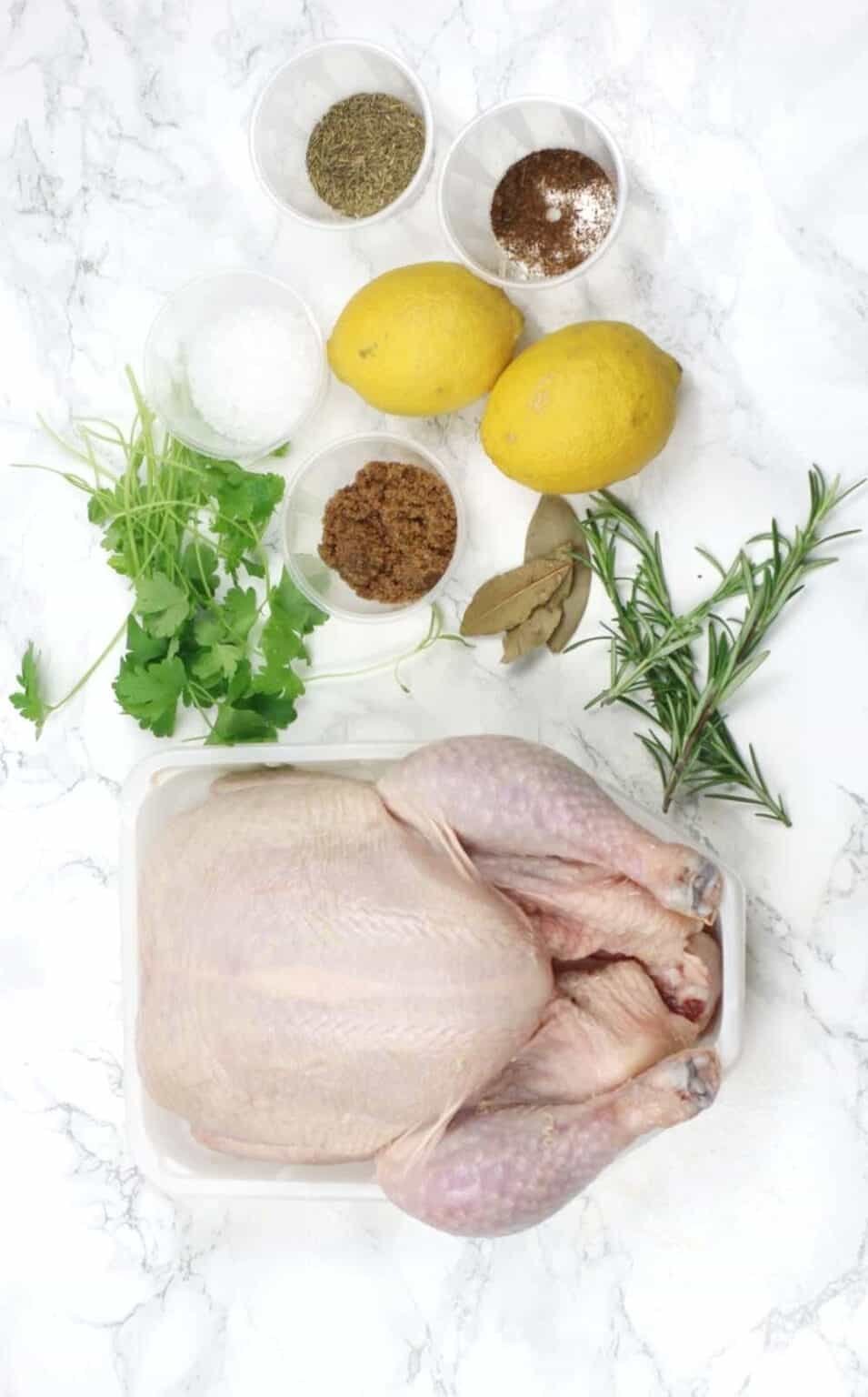 đá gà trực tiếp thomo đá gà trực tiếp thomo