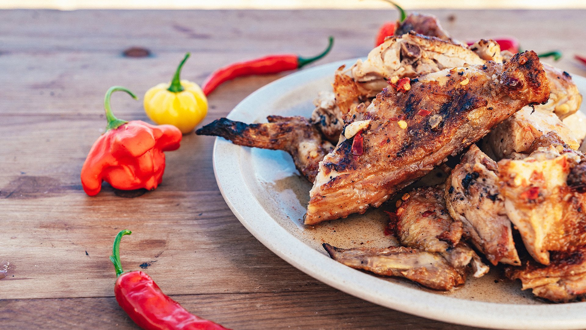 trại gà đá của hưng cần thơ trại gà đá của hưng cần thơ