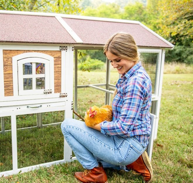 đá gà trực tiếp thomo ngày hôm nay đá gà trực tiếp thomo ngày hôm nay