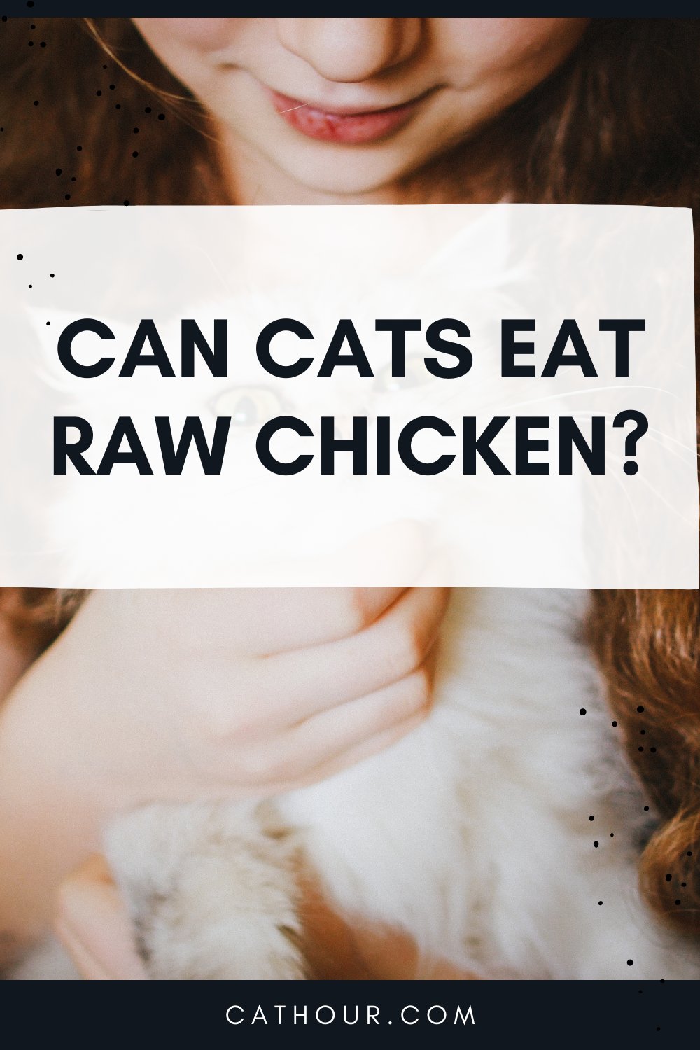 gà đá hầm củ cải gà đá hầm củ cải