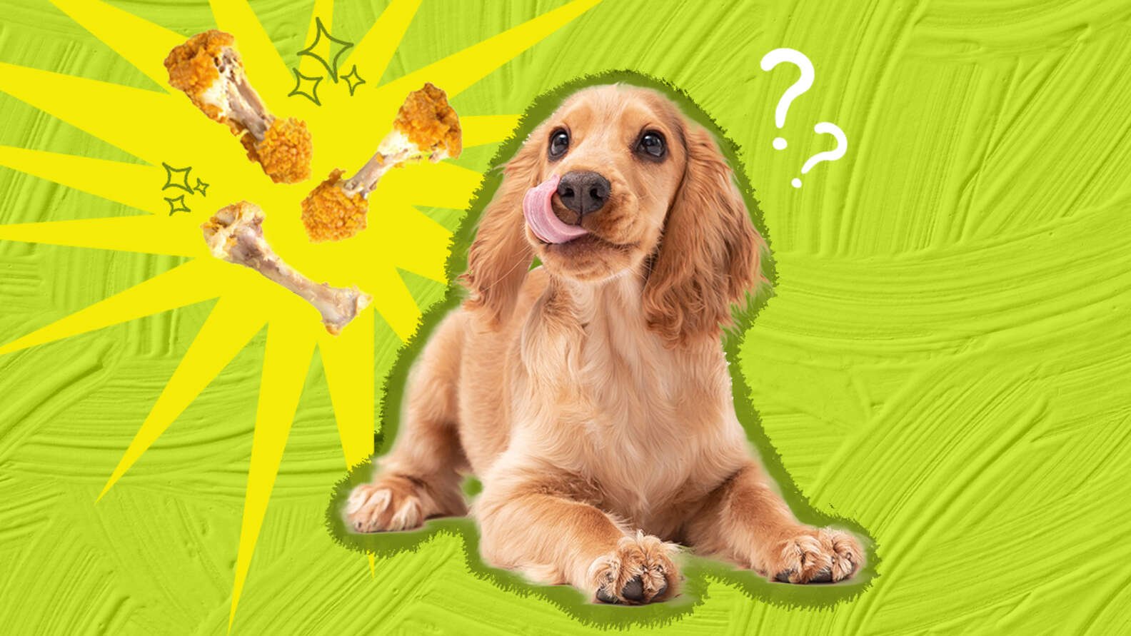 trực tiếp đá gà thomo 999 hôm nay trực tiếp đá gà thomo 999 hôm nay