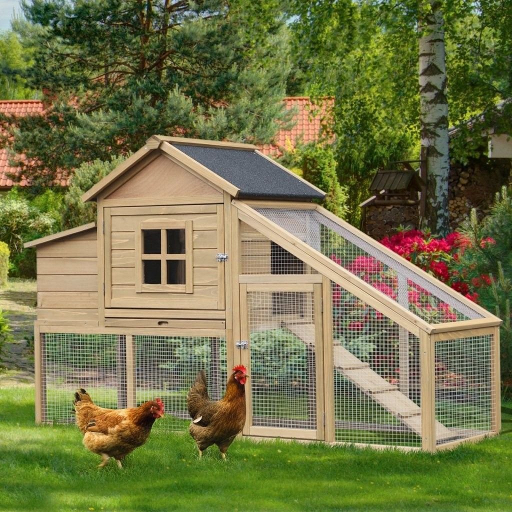 gà đá cựa sắt hay nhất hiện nay gà đá cựa sắt hay nhất hiện nay