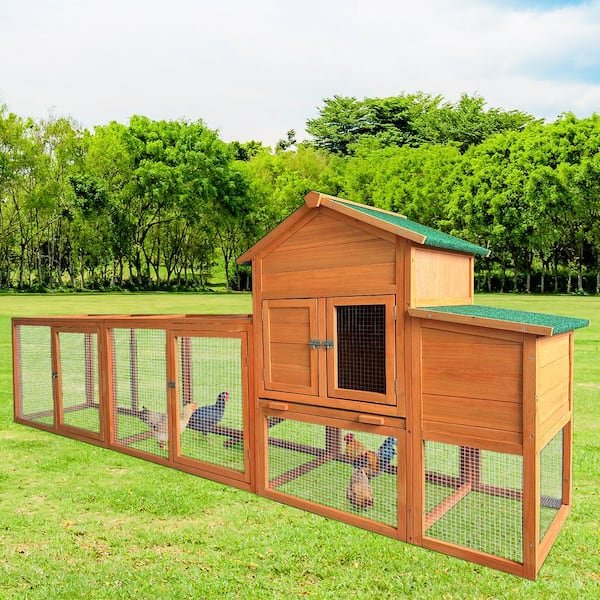 đá gà cựa sắt nước ngoài đá gà cựa sắt nước ngoài