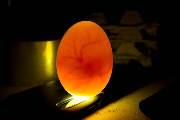 Khám Phá Thế Giới Đá Gà Trực Tuyến Hấp Dẫn Nhất Hiện Nay